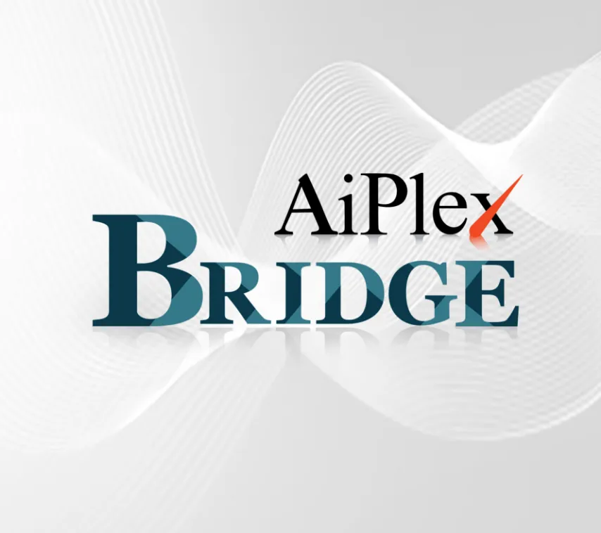 aiplex-bridge-orm-tool