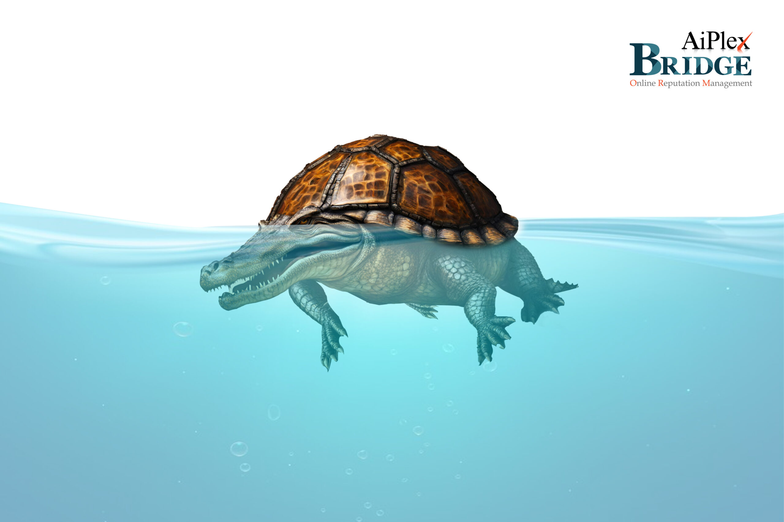 take down fake website take down fake website